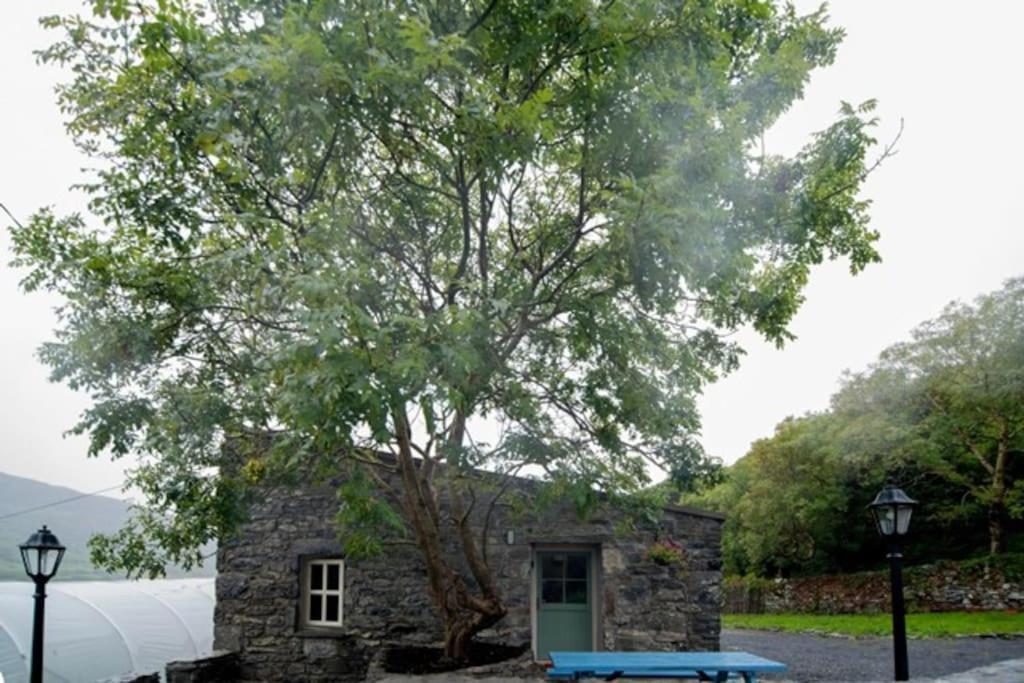 Fermoyle Properties Glynn'S Cottage Fanore 外观 照片